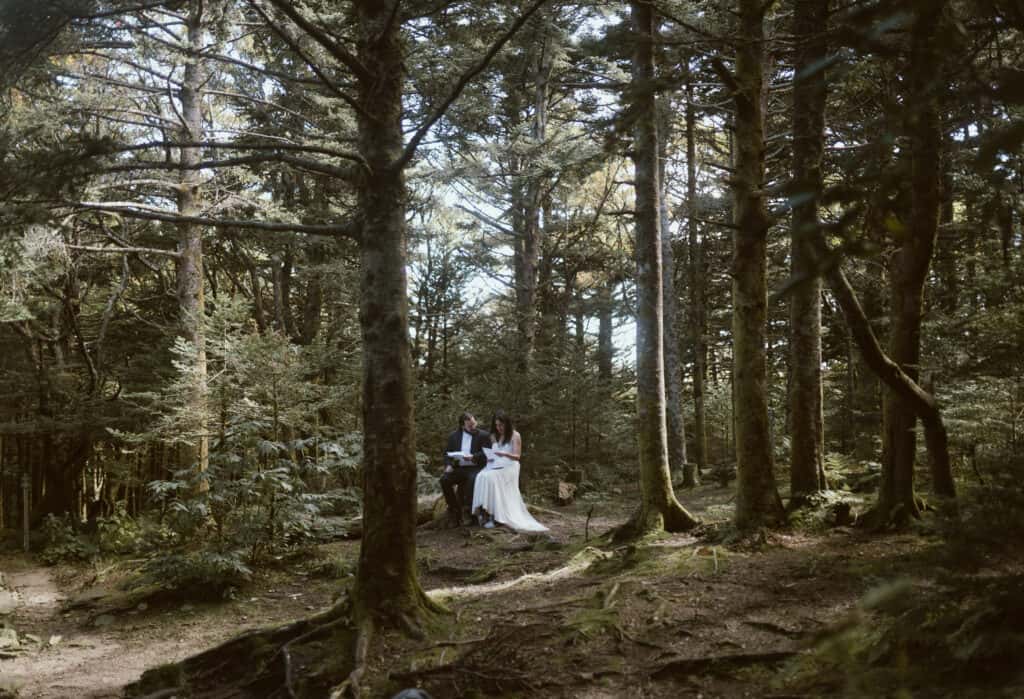 A newly married couple reading letters from loved-ones in the middle of a forest on a stump surrounding my ferns. 