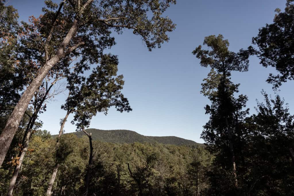 A view of the mountains with trees. 